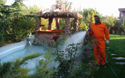 Bombus Çevre Sağlığı