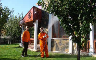 Bombus Çevre Sağlığı